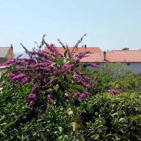 Pensjonat Petar